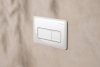 Hansgrohe iFrame Original Q Przycisk WC biały 66001450 WYSYŁKA 24H